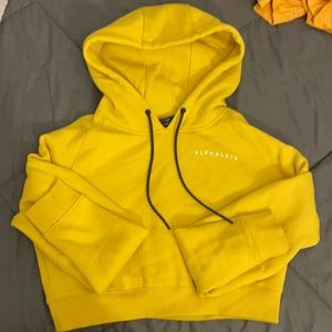 Alphalete pull over